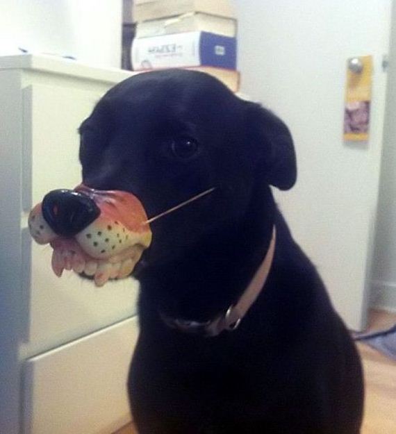 Interesting-And-Funny-Pictures-040