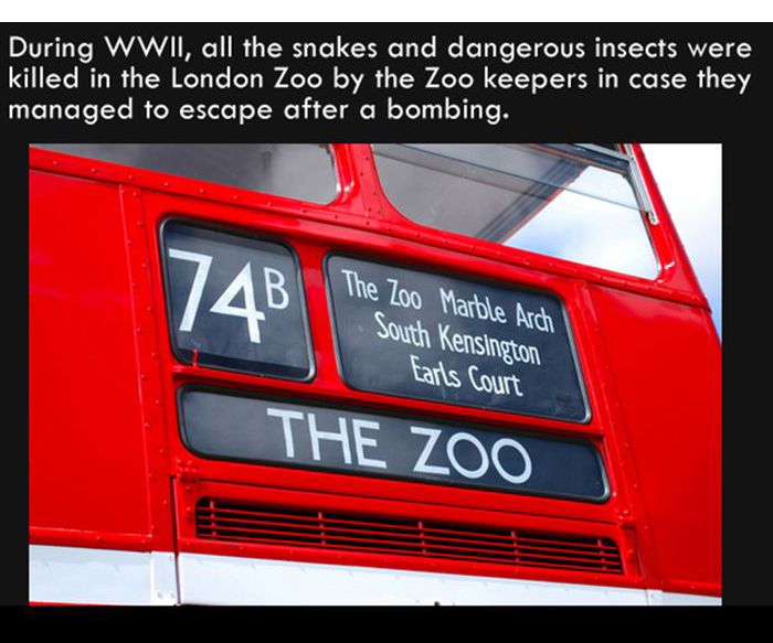 Interesting-Facts-011