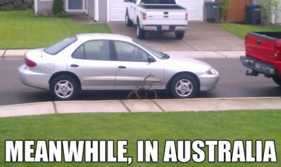 Meanwhile-in-Australia-001