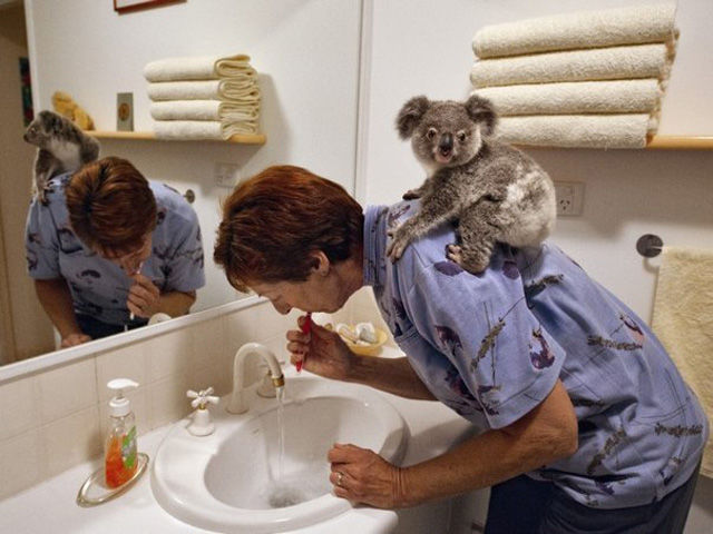 October-27th-Funny-Pic-Dump-006