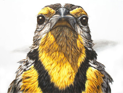 Remarkable-Animals-Paintings-001