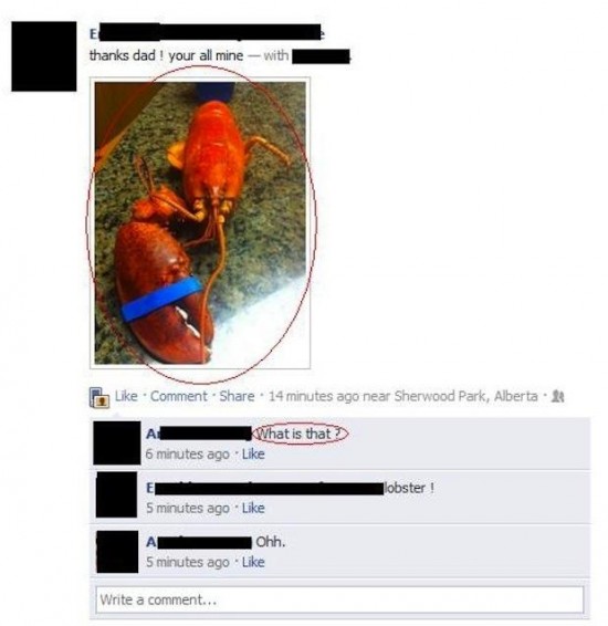 The-Dumbest-Things-Ever-Posted-On-Facebook-025