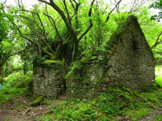 The Kerry Way walking path between Sneem and Kenmare in Ireland