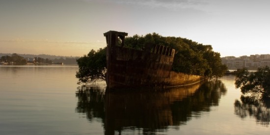 The remains of the SS Ayrfield in Homebush Bay, Australia