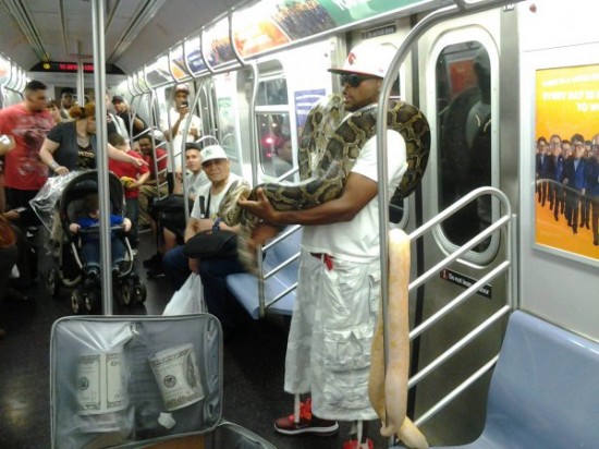 crazy things on new york subway