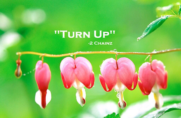 39-Inspiration-Quotes-Of-New-Morning-018