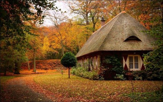 A-House-In-The-Woods-008