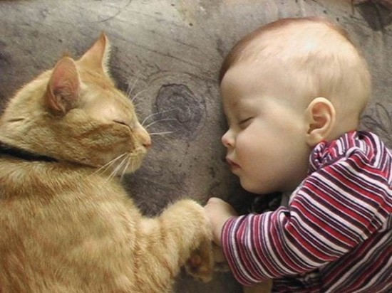 Cat and Baby Sleeping
