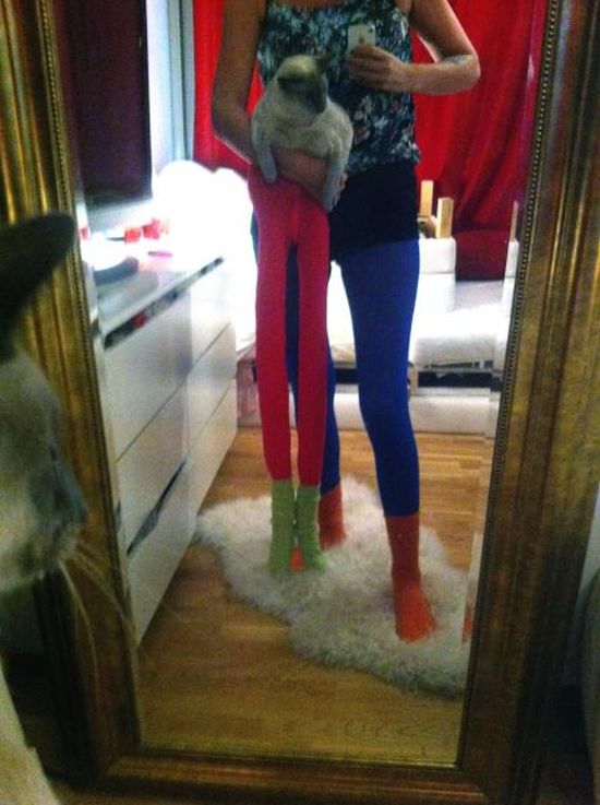 Cats-Wearing-Tights-010