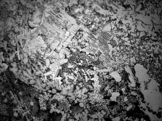 Dried-Human-Tears-Under-a-Microscope-003
