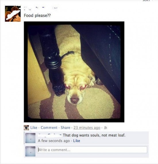 Funny-Facebook-Comments-015