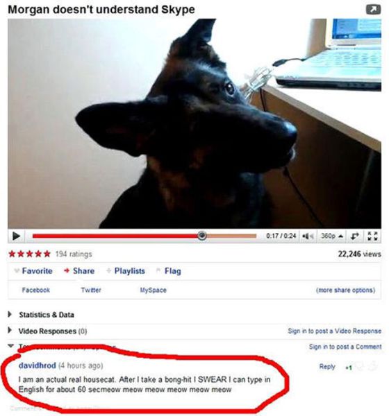 Funny-YouTube-Comments-027