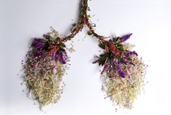 Human-Body-Organs-Made-Out-of-Flowers-and-Leaves-001