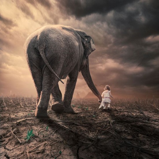 Photo-Manipulations-by-Caras-Ionut-005