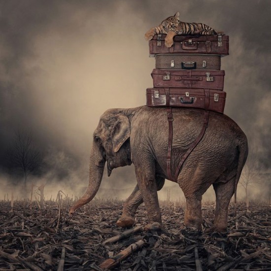 Photo-Manipulations-by-Caras-Ionut-016