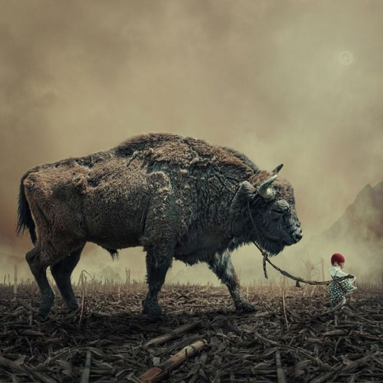 Photo-Manipulations-by-Caras-Ionut-019