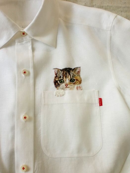 Shirts-with-Cats-004