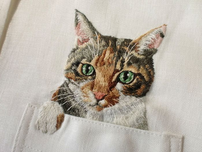 Shirts-with-Cats-005