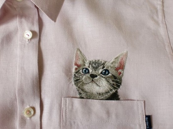 Shirts-with-Cats-007