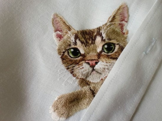Shirts-with-Cats-012