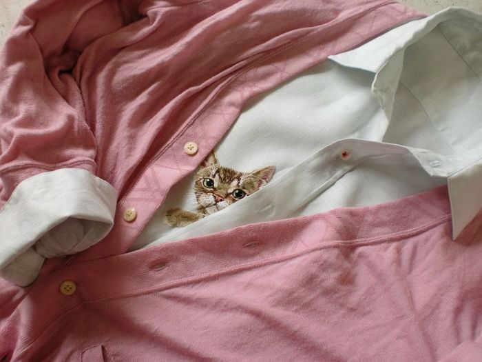 Shirts-with-Cats-014