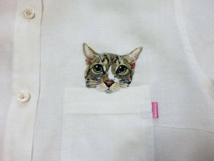 Shirts-with-Cats-021