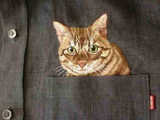 Shirts-with-Cats-026