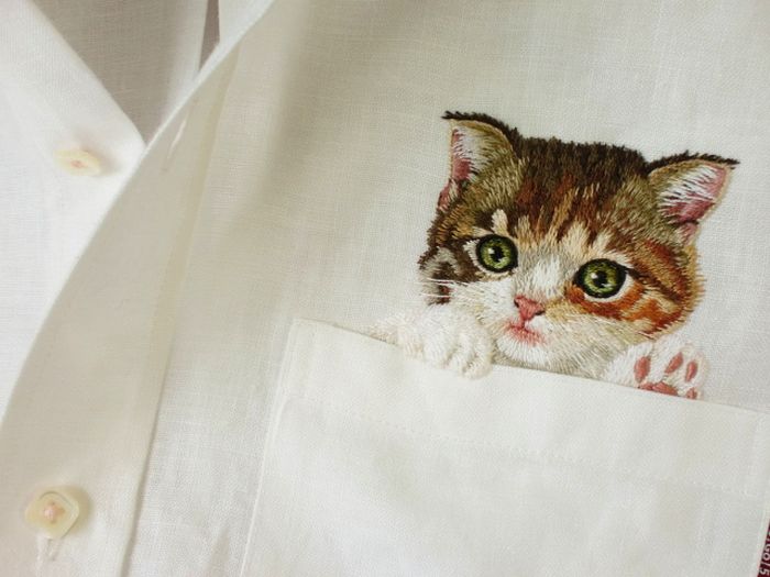Shirts-with-Cats-034