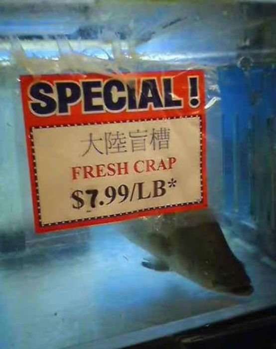 The-Best-of-English-017