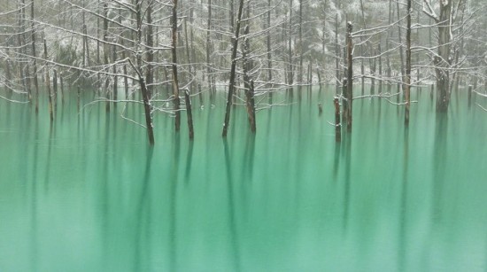 The-Blue-Pond-in-Hokkaido-Changes-Colors--003