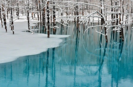 The-Blue-Pond-in-Hokkaido-Changes-Colors--004