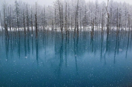 The-Blue-Pond-in-Hokkaido-Changes-Colors--005