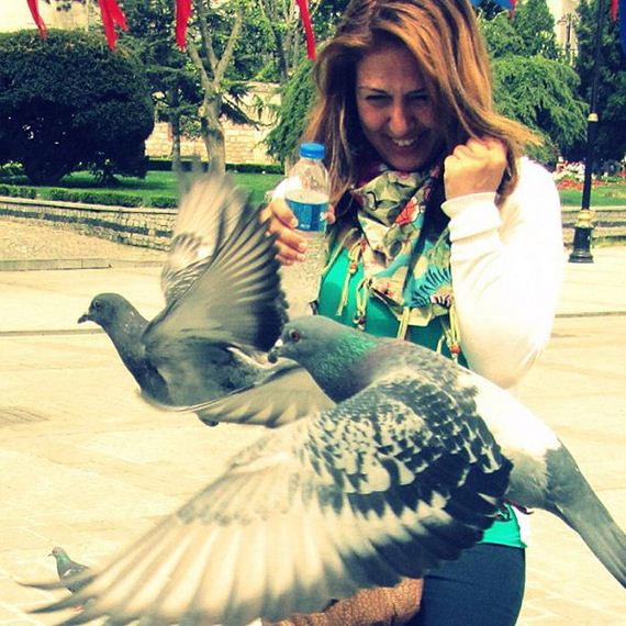 The-Pigeons-Attack-005