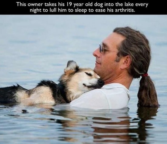 These-pet-owners-are-amazing-001