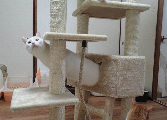 These-pictures-need-a-second-look-005