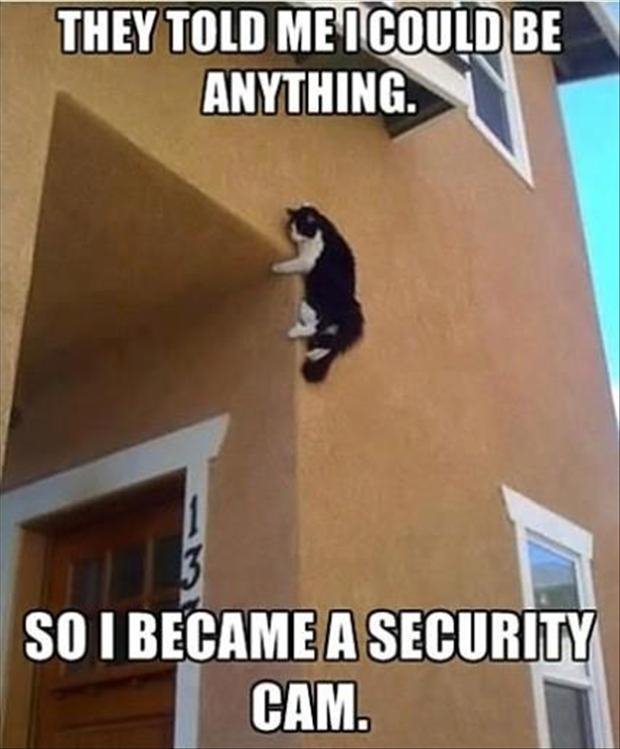 They-Told-me-I-Could-Be-Anything-006