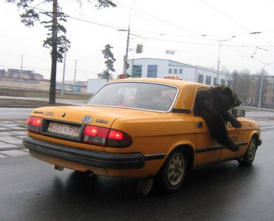 Things-Are-a-Little-Different-in-Russia-005