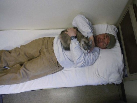 cat at the Washington State Prison