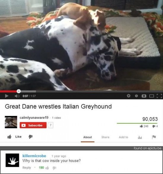 18 hilarious YouTube comments 005