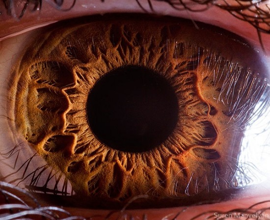 21 Extreme Close Ups of the Human Eye001