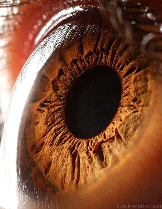 21 Extreme Close Ups of the Human Eye003