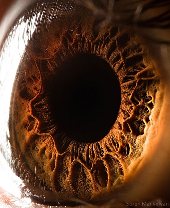 21 Extreme Close Ups of the Human Eye004