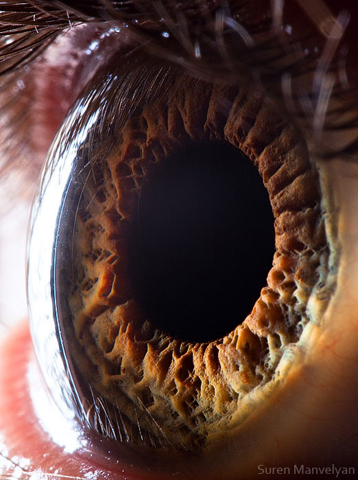 21 Extreme Close Ups of the Human Eye005