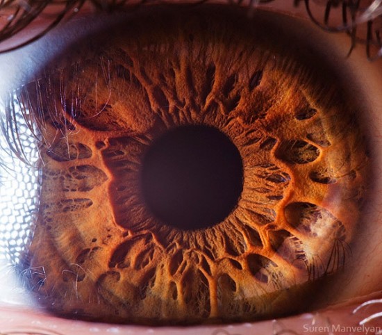 21 Extreme Close Ups of the Human Eye006