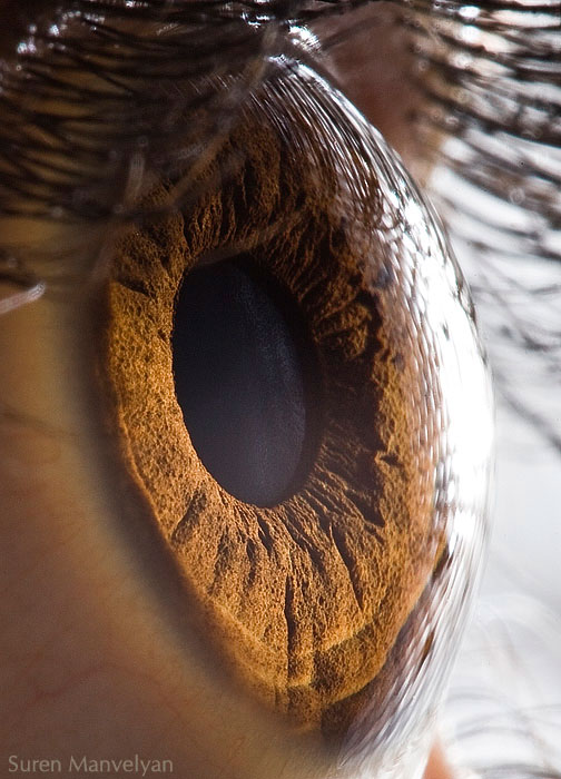 21 Extreme Close Ups of the Human Eye007