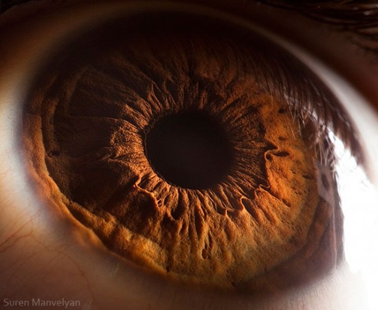 21 Extreme Close Ups of the Human Eye008