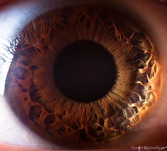 21 Extreme Close Ups of the Human Eye009
