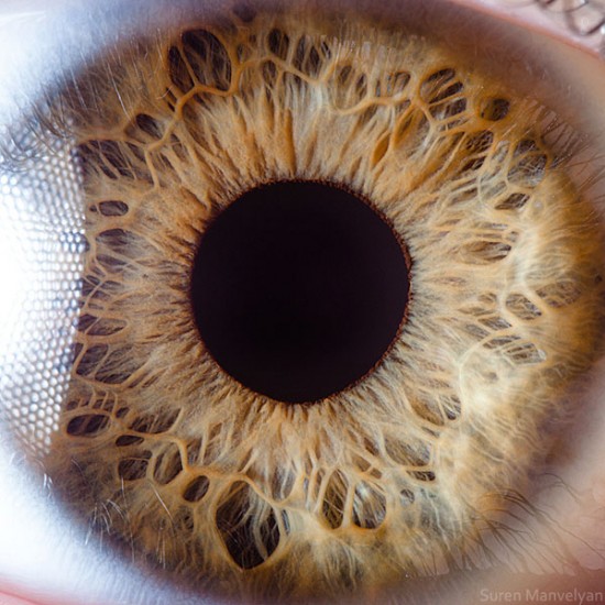 21 Extreme Close Ups of the Human Eye010