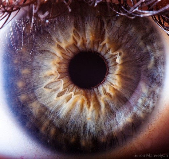 21 Extreme Close Ups of the Human Eye011