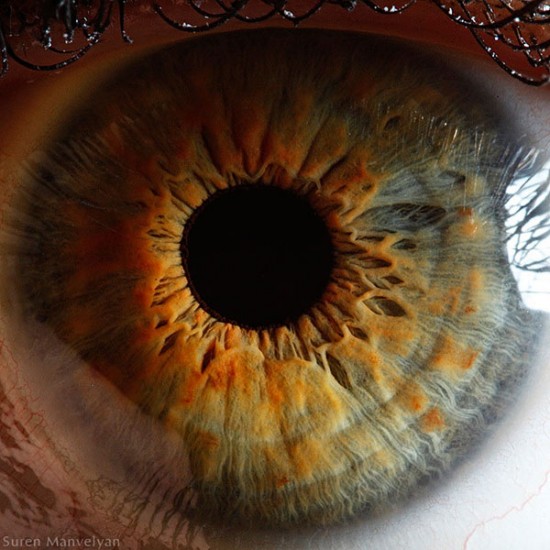 21 Extreme Close Ups of the Human Eye012